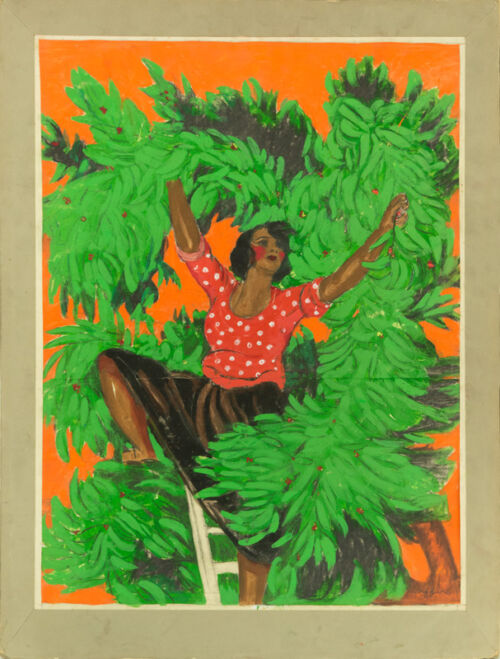 Esquisse publicitaire : Caféier