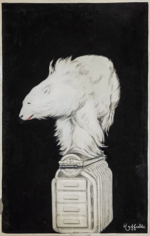 1926 - Un ours blanc