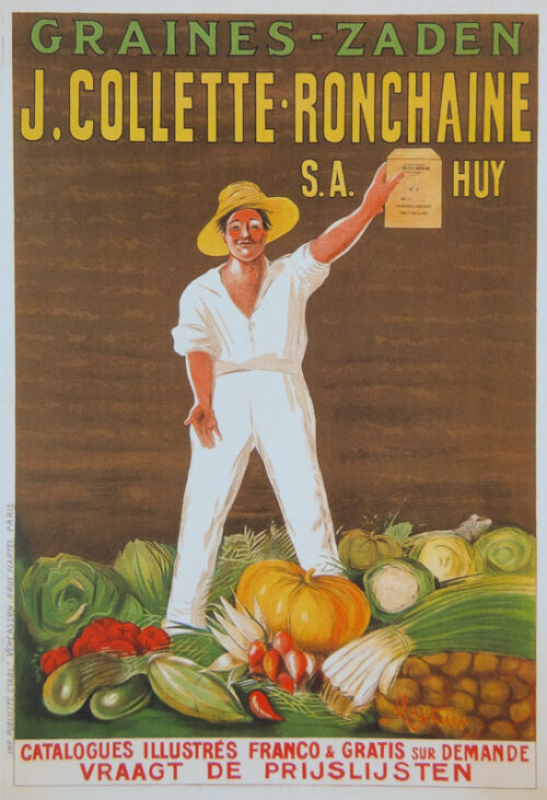 Lithographie publicitaire : Graines J. Collette-Ronchaine