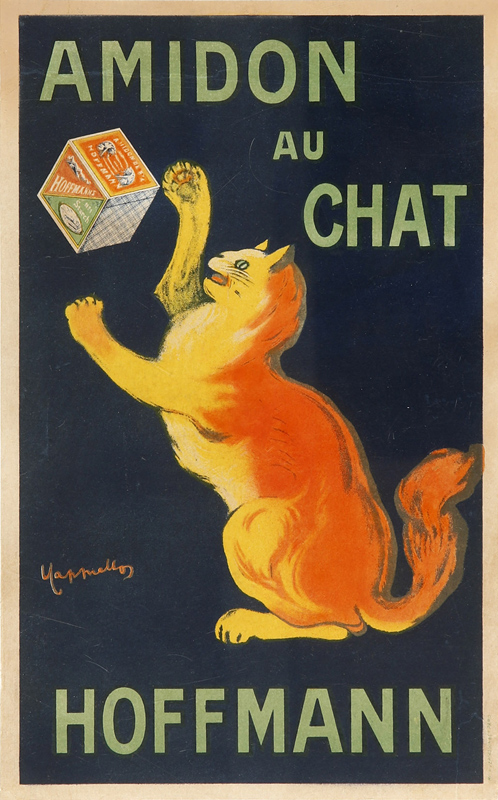 1912 ca. - Un chat joue avec une boîte d'amidon.