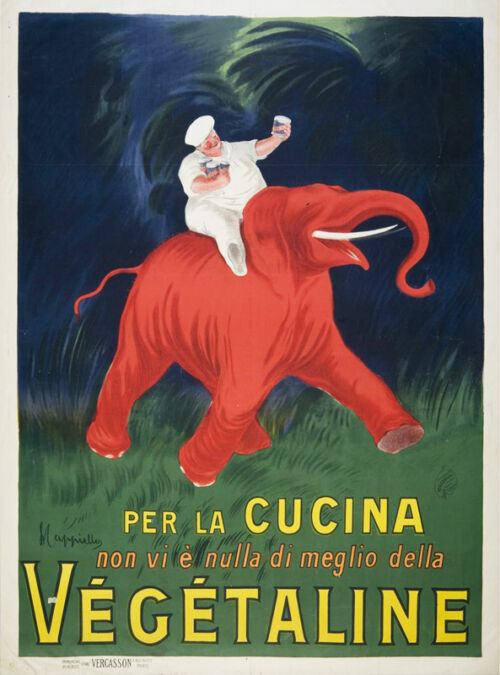 1910 ca. - Un éléphant rouge court dans la jungle. Un cuisinier