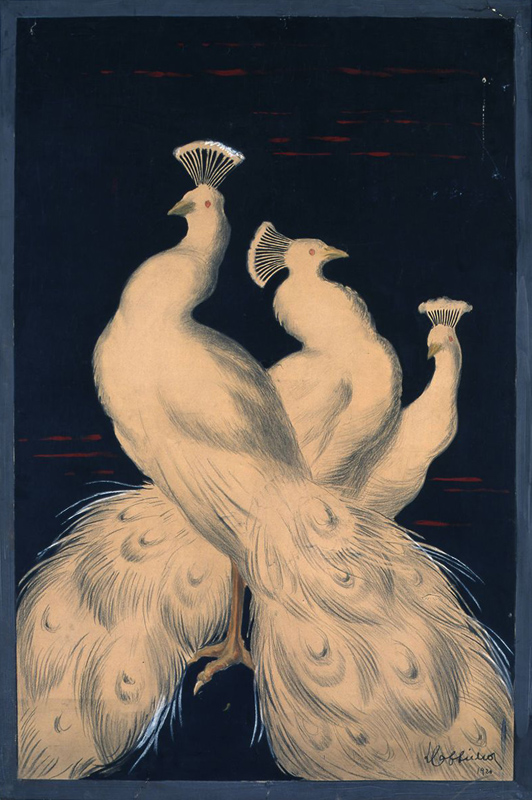 Maquette publicitaire : Paons