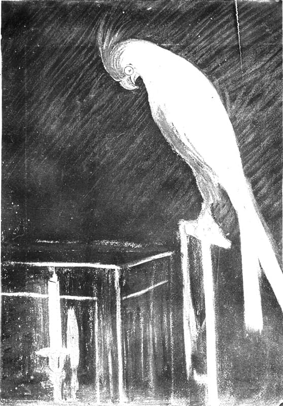 Advertising sketch photo: Candle and parrot