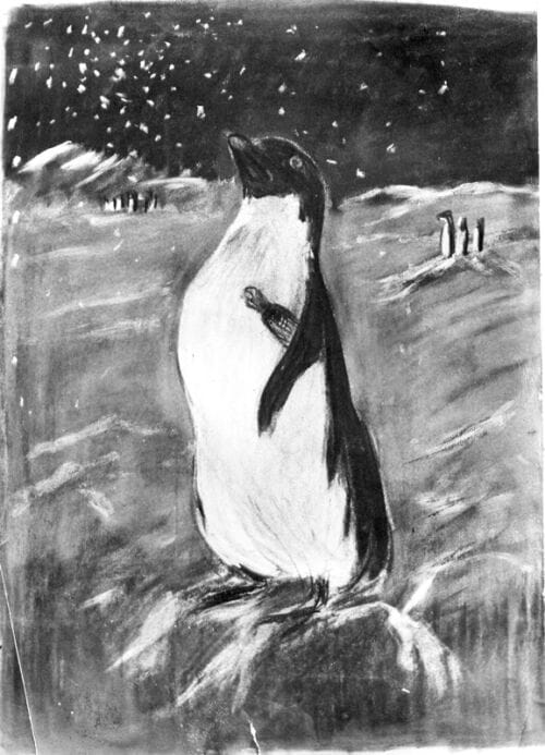 Photo d'esquisse publicitaire : Bouteille isotherme