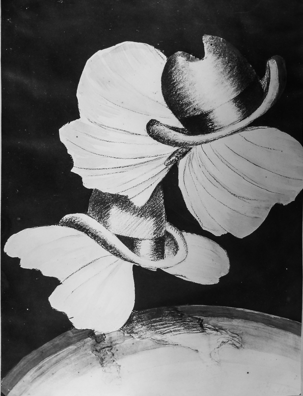 Photo d'esquisse publicitaire : Chapeaux