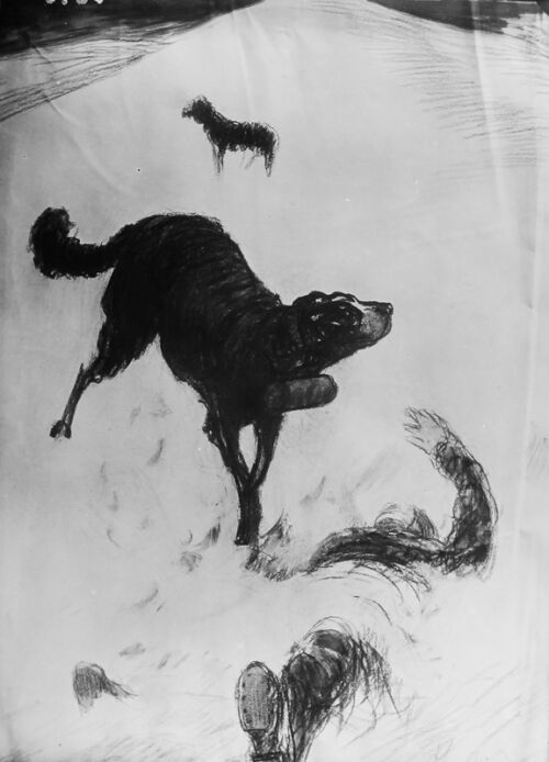 Photo d'esquisse publicitaire : Cordial Campari