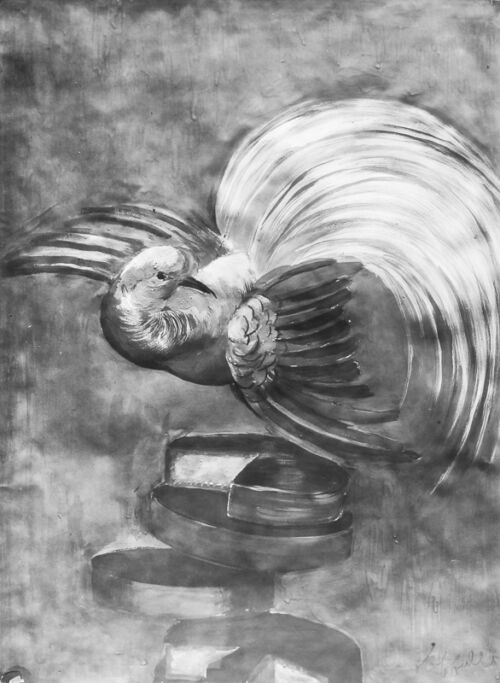 Photo d'esquisse publicitaire : Gâteau