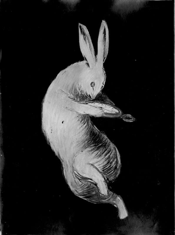 Photo d'esquisse publicitaire : Lapin à la montre