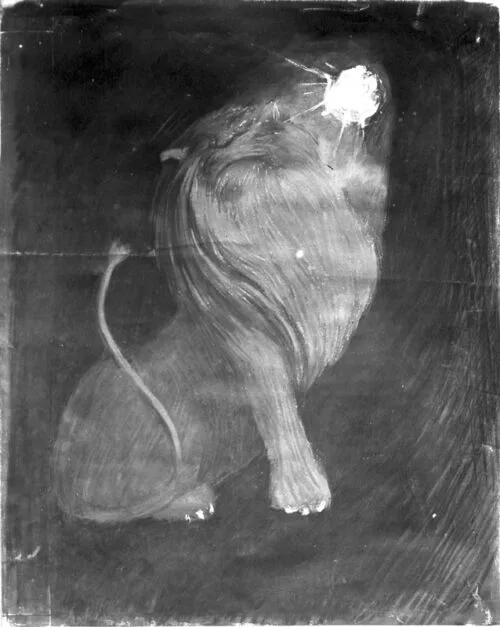 Photo d'esquisse publicitaire : Lion éblouissant