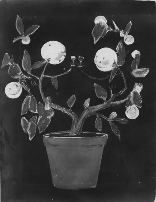 Advertising sketch photo: Liqueur