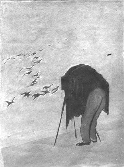 Photo d'esquisse publicitaire : Photographe