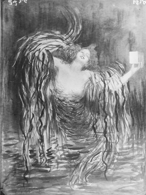 Photo d'esquisse publicitaire : Plantes marines