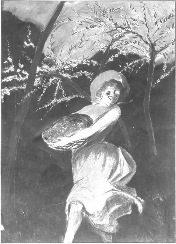 Photo d'esquisse publicitaire : Récolte de café (la)