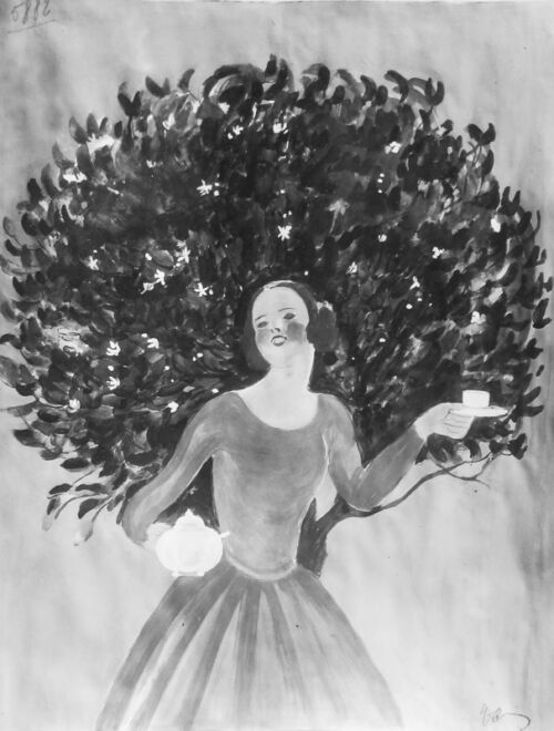 Photo d'esquisse publicitaire : Thé d'oranger