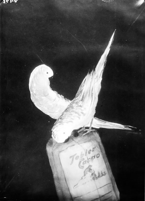 Advertising sketch photo: Tobler Cacao