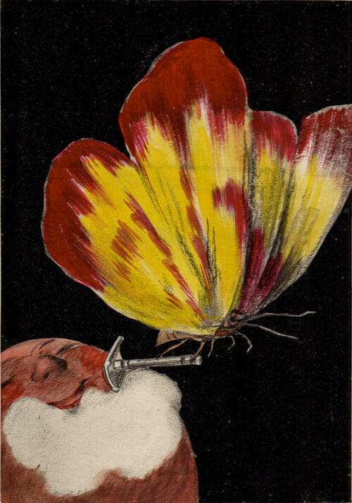 Photo peinte publicitaire : Rasoir