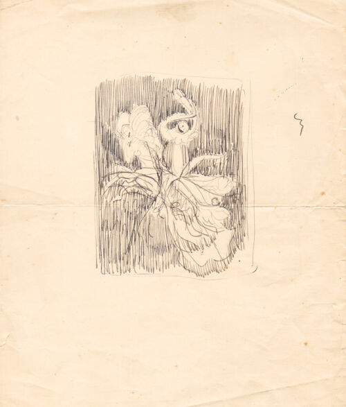 Vignette publicitaire : Cirage