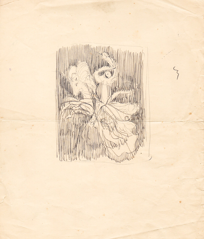 Vignette publicitaire : Cirage